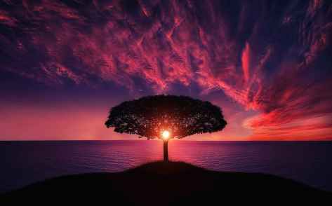 flight landscape nature sky