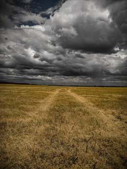 photo-path sky