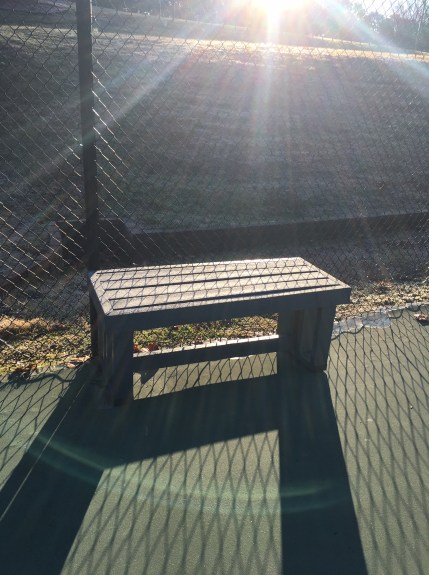 The Bench in morning light