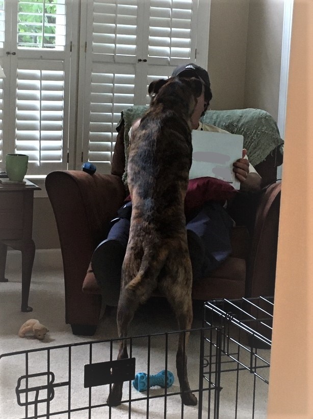 Inkedhard to work at home 3_LI