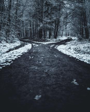 oliver-roos-PCNdauVPbjA-unsplash fork in the road